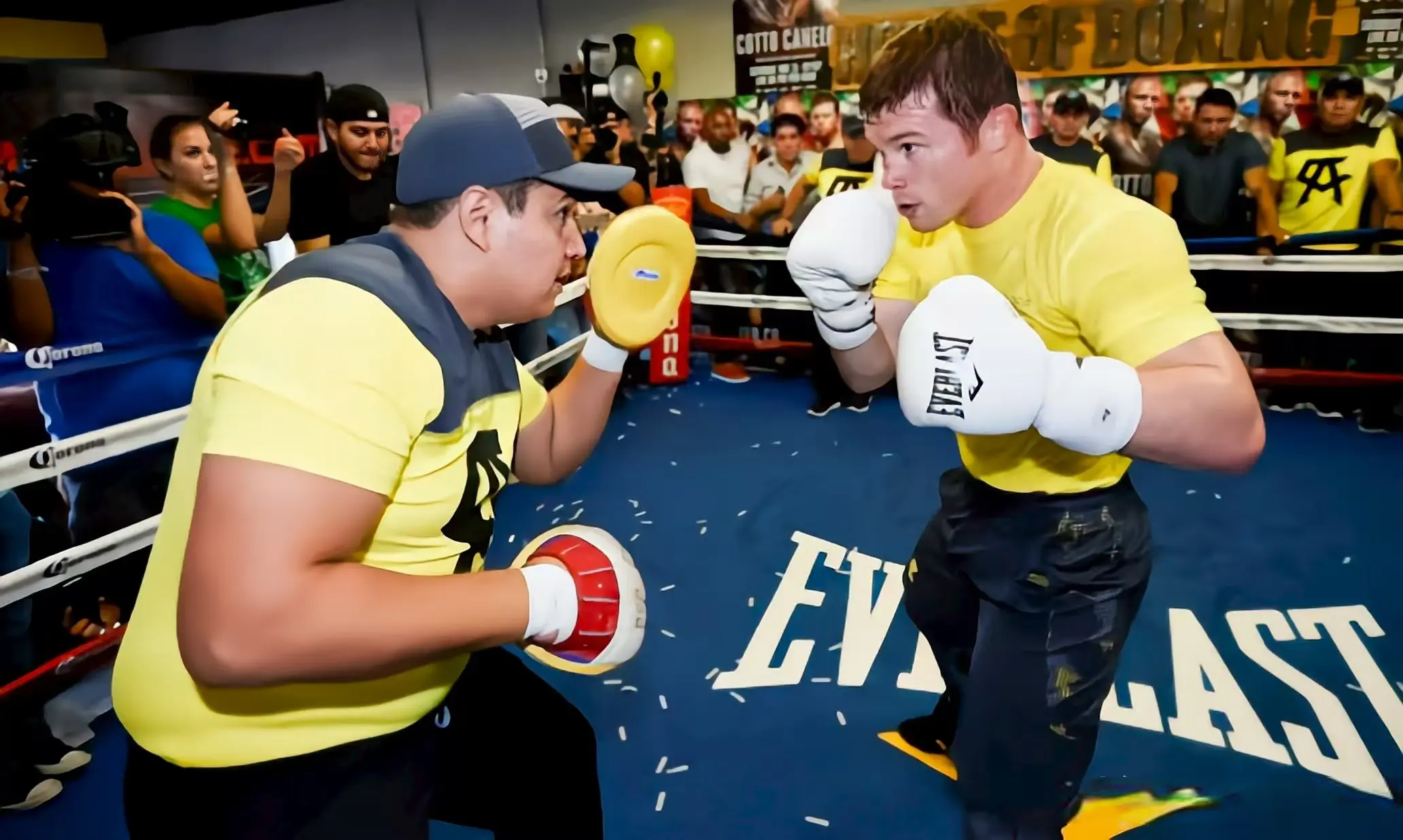 雷诺索的承 雷诺索的承