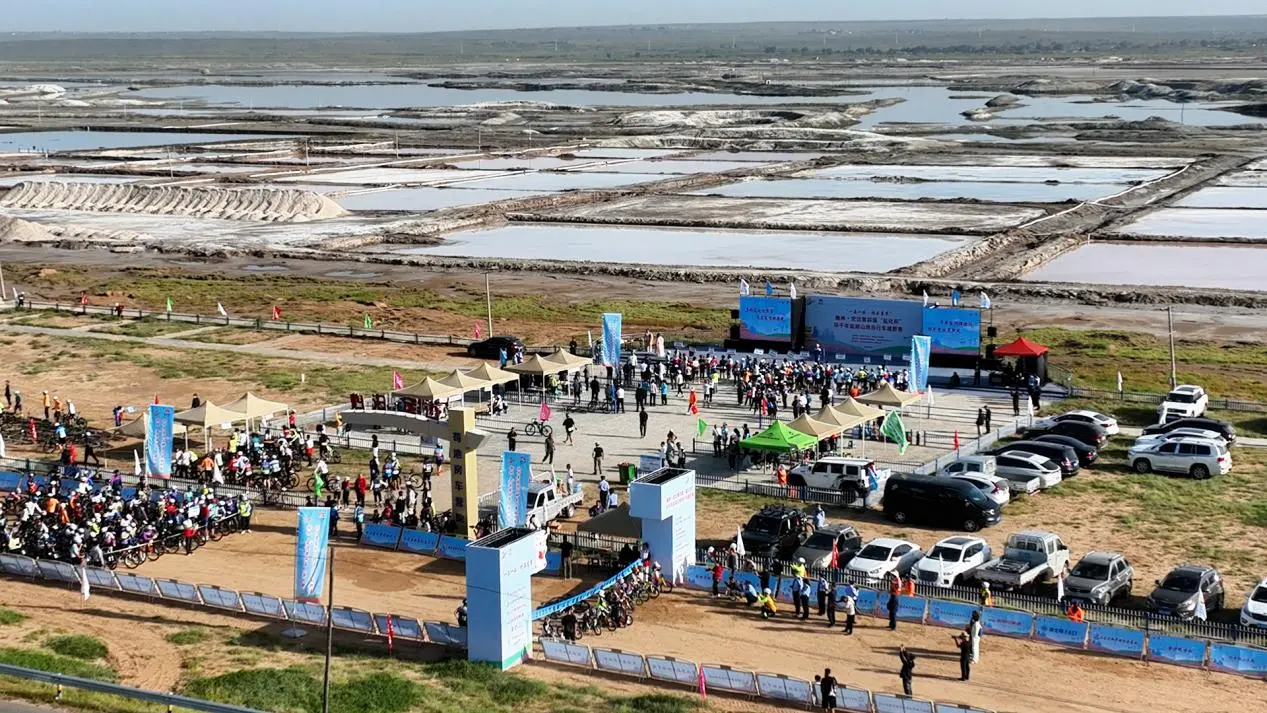 一名很高兴, 金风轻拂荞, 今年是卫冕