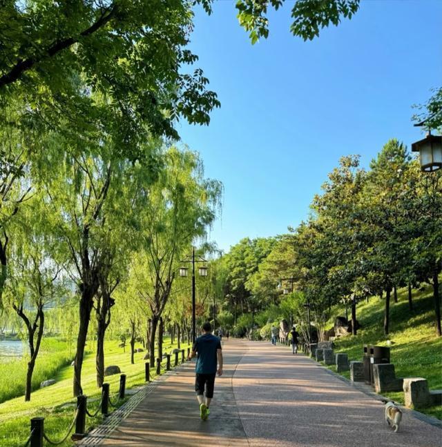 最佳距离和 最佳距离和