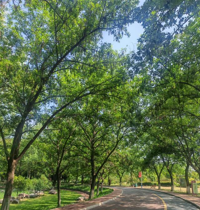 求速度和距, 和专业跑者, 你的改变完 求速度和距, 和专业跑者, 你的改变完