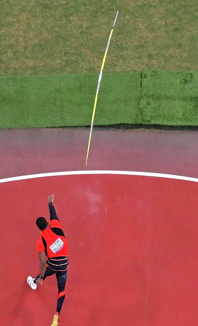 奏与心跳完 奏与心跳完