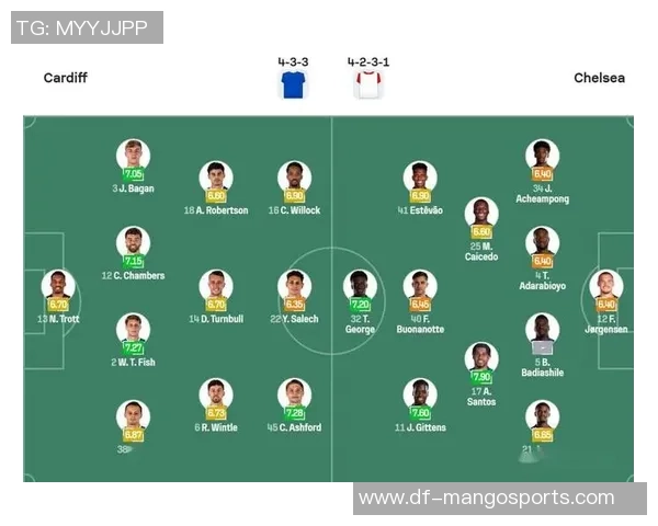 2105卡迪夫城对阵切尔西比赛结果及精彩瞬间全面分析