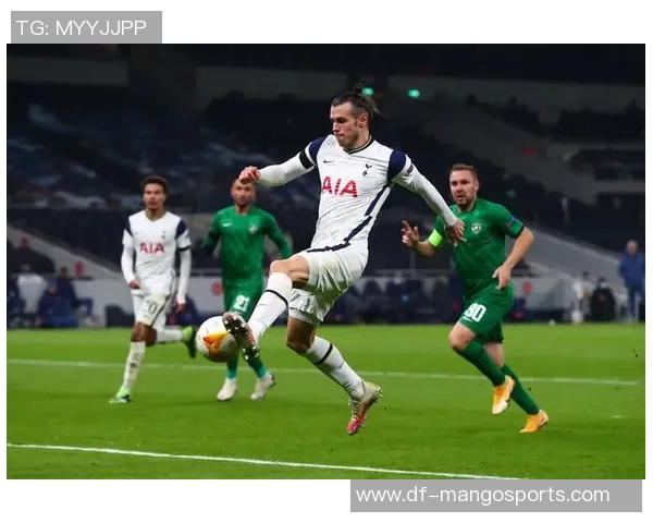 热刺与卢多戈雷茨精彩对决全场录像回顾及分析